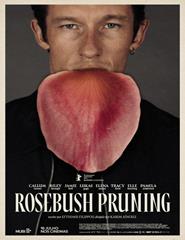 ROSEBUSH PRUNING