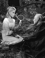 Source image — MORANGOS SILVESTRES - CINECLUBE47
