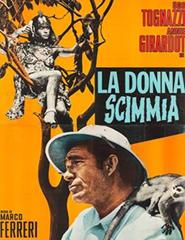 cartaz