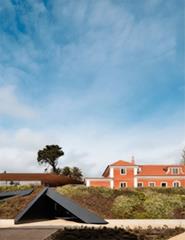cartaz