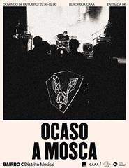 cartaz