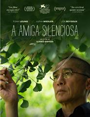 Source image — A Amiga Silenciosa de Ildikó Enyedi (Cinema)