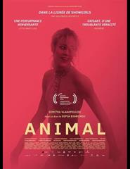 CINECLUBE DE TAVIRA • Animal