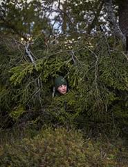 FESTA DO CINEMA FRANCÊS | Le Chant des Forêts