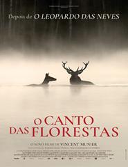 来源图片 — 27 Festa Do Cinema Francês - O CANTO DAS FLORESTAS