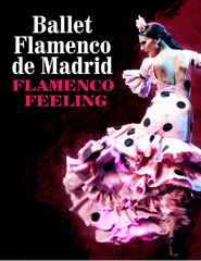 Ballet Flamenco de Madrid - Flamenco Feeling