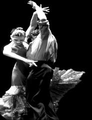 Flamenco Passion