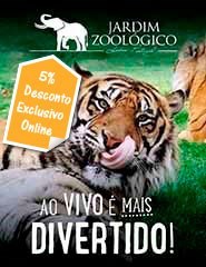 Visita Jardim Zoológico 2017