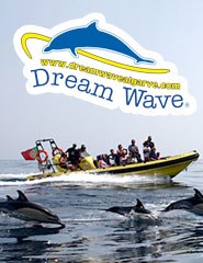 Dream Wave 2017 - Jet Boat – 