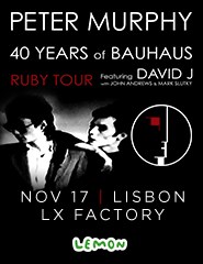 Peter Murphy - 40 Years of Bauhaus featuring David J
