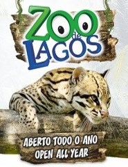 Visita ao Zoo de Lagos 2019