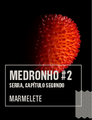 MEDRONHO #2 - SERRA, Capítulo Segundo