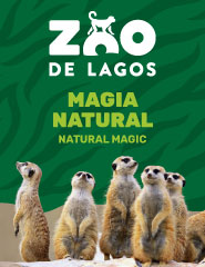 Visita o Zoo de Lagos 2020