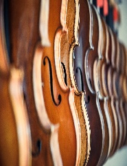 Violinos para Adultos | Aulas Presenciais e Online