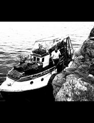 FILMar | O Jogo da Sardinha + Ródur + Elmer og Blomsterbåten