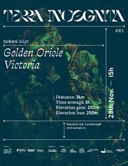 Golden Oriole + Victoria