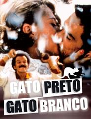 GATO PRETO GATO BRANCO