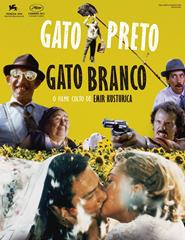 Cineclube CCC | GATO PRETO, GATO BRANCO, de EMIR KUSTURICA