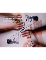 Z.LAB MIL PÁSSAROS FORMAÇÃO ONLINE EM ARTE PARA A INFÂNCIA